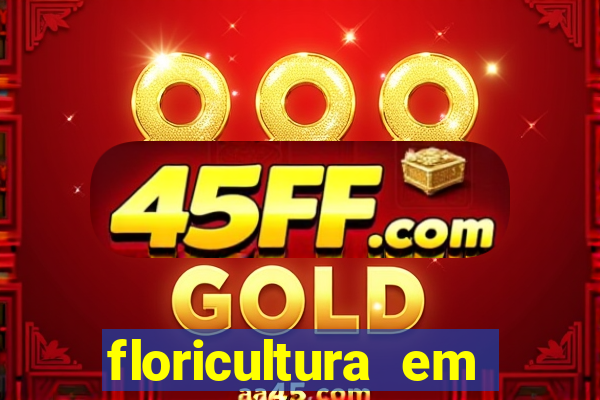 floricultura em franca sp